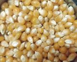 A picture of step 1 of Jhatpat popcorn.