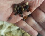 Foto del paso 4 de la receta: Coliflor en Conserva