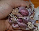 Foto del paso 1 de la receta: Puré de papas con crema de ajo