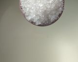 A picture of step 1 of Mud Apple (Chickoo) Milkshake.