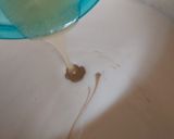 Foto del paso 3 de la receta: Panna cotta