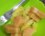 Foto langkah ke 1 dari resep Smoothies Pepaya Nanas.