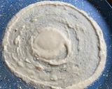A picture of step 4 of Shoru Chakli Pithe.