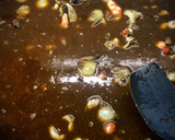 Foto del paso 5 de la receta: Arroz negro con salsa allioli