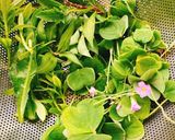 Hình bước làm 1 của món Canh Chua Chả Cá
