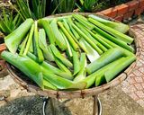 Hình bước làm 1 của món BẠC HÀ (dọc mùng) muối chua