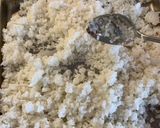A picture of step 4 of Sushi Rice.