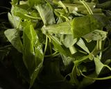Foto langkah ke 2 dari resep Tumis kangkung Tahu.