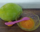 Foto langkah ke 7 dari resep Sorbet Mango.
