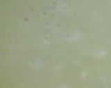 Foto langkah ke 3 dari resep Jasuke Creamy Matcha.