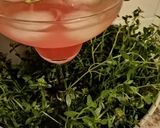 Une image de l'étape 7 de Jus pastèque citron vert a la djamicoo.
