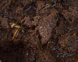 Foto langkah ke 7 dari resep Rendang.