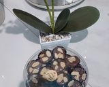 Foto langkah ke 10 dari resep Brownies mini kering.