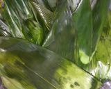 Foto langkah ke 1 dari resep Bacang Ketan.