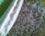 Hình bước làm 3 của món Xôi Bắp
