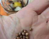 Foto del paso 3 de la receta: Ajos fermentados para una microbiota feliz 🥳de la saga #lafarmaciaentucocina 🧄🫚🍯 🍋