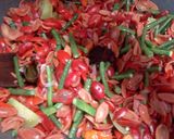 Foto langkah ke 3 dari resep Tumis Kulit Melinjo.