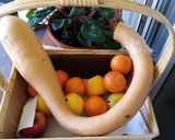 Foto del passaggio 1 della ricetta Zucca trombetta in padella