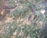 صورة لخطوة 1 من وصفة سوفلي خفيف بالسبانخ والفطر والصلصة البيضاء 😍