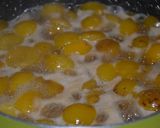 Une image de l'étape 1 de Sorbet de mirabelles au miel.
