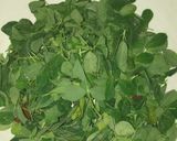 A picture of step 4 of Gajar methi gosht.