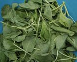 Foto langkah ke 1 dari resep Sayur Bayam Bening.