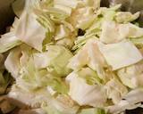 Hungarian Cabbage Roll Soup recipe step 7 photo