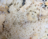 Foto del paso 4 de la receta: Pizza de pollo y arroz