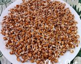 A picture of step 4 of Homemade Horse Gram Sprouts.