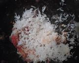 Foto langkah ke 1 dari resep Boh Itek Deudah | Telur Bebek Panggang Khas Aceh.
