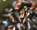 Une image de l'étape 7 de Moules🐚🪸à la provençale 🐋🍃.