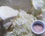 Foto del paso 1 de la receta: Chucrut alemán / Repollo Fermentado
