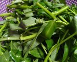 Foto langkah ke 1 dari resep BOBOR KANGKUNG (127).
