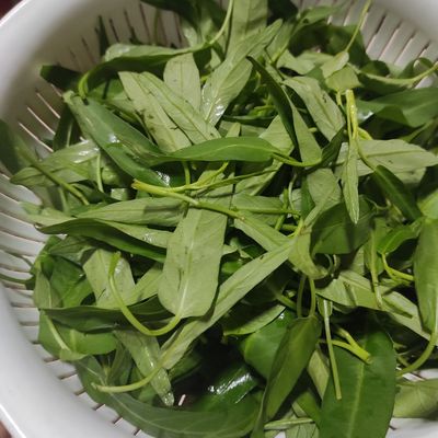 Langkah 1