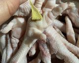 Foto del paso 1 de la receta: Sopipita de patas de pollo para tu mascota