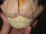 Manteconchas