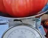 Foto del paso 1 de la receta: Ensalada de tomate 🍅
