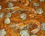 A picture of step 4 of Fideuá with Hake and Prawns.