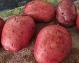 Foto del paso 1 de la receta: Papas Rellenas de Panceta y Muzzarella ❤