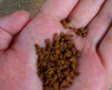 عکس مرحله 3 از دستور قهوه تابستانی