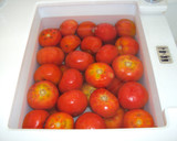 Foto del paso 2 de la receta: Tomates en conserva desde casa