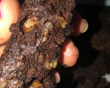 Foto del paso 4 de la receta: Mini budín sin harinas, vegano🌱