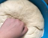 A picture of step 9 of Risen dough.
