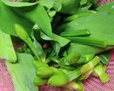 Foto langkah ke 1 dari resep 24. Tumis Genjer Jagung Muda.