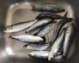 Une image de l'étape 1 de Sardines grillées farcies.
