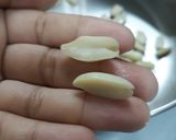 紅糖五寶燕麥甜粥的食譜步驟1照片