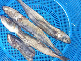 Tumis Klothok / Oseng Klothok