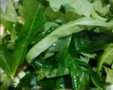 Foto langkah ke 6 dari resep Daun Gedi Masak Santan.