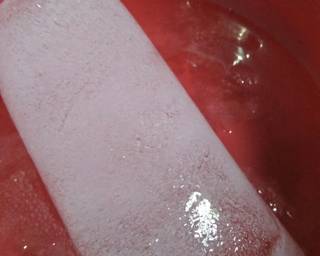 *cendol jelli yogurt* - Step 1