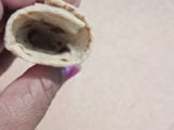 Roti Cones